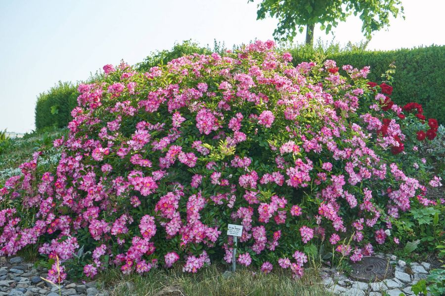 Fil des saisons