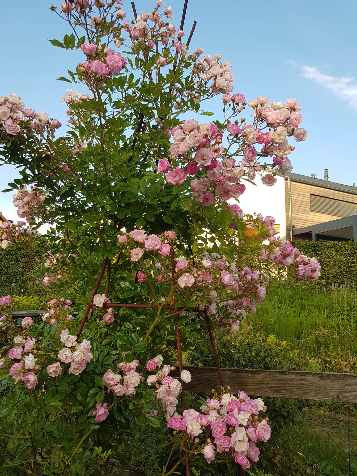 Gardens of Hex®